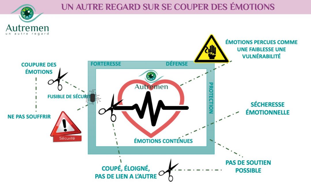 Un Autre Regard sur les émotions… En vie ? ou couper de ses envies ? de ses émotions ?