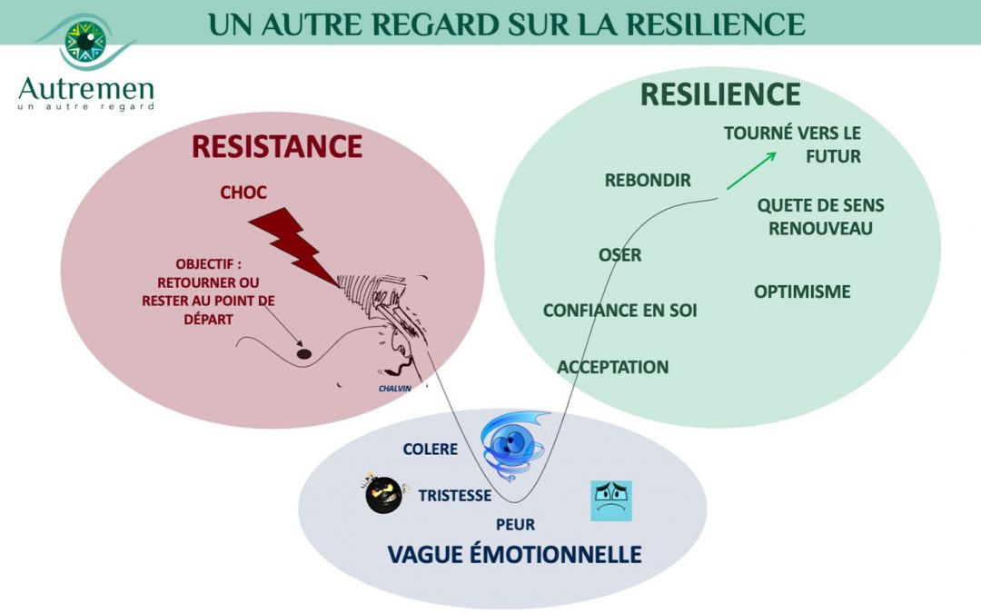 Un Autre Regard sur la résilience