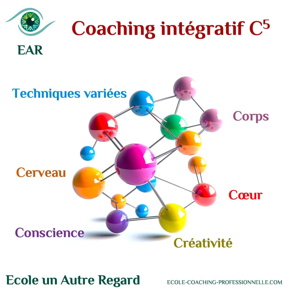 EAR propose une approche C5 Corps Cœur Cerveau Conscience et Créativité. Les coachs intégratifs EAR sont formés aux outils variés de l’accompagnement