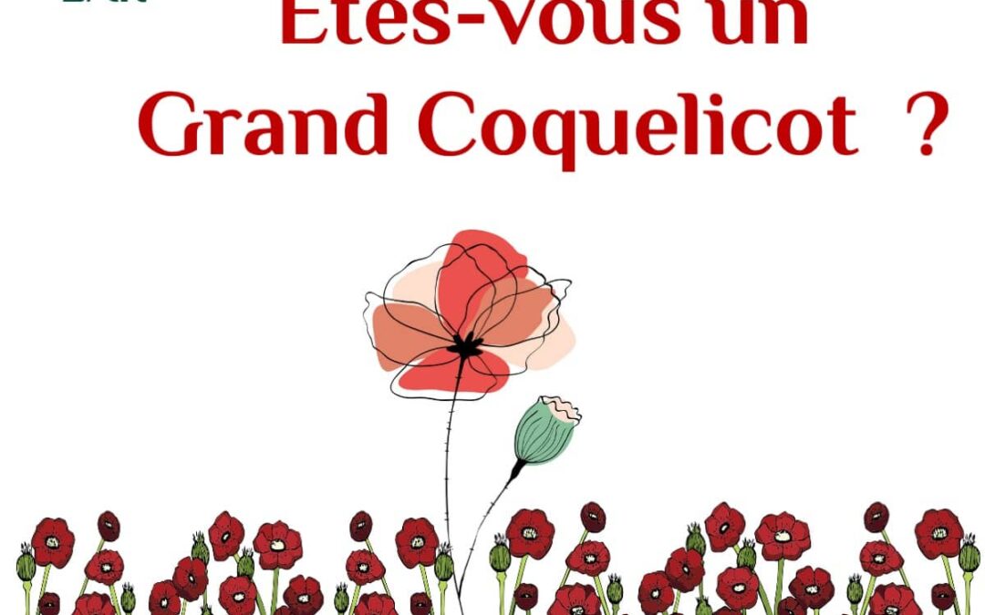 Le Syndrome du grand coquelicot 