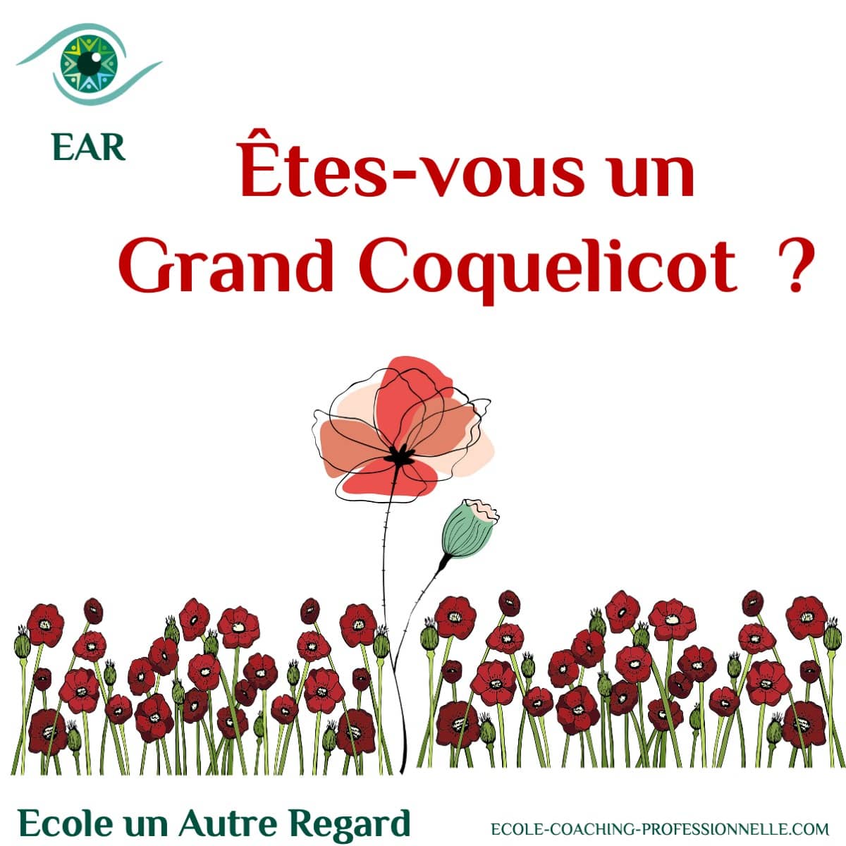 Le Syndrome du grand coquelicot 