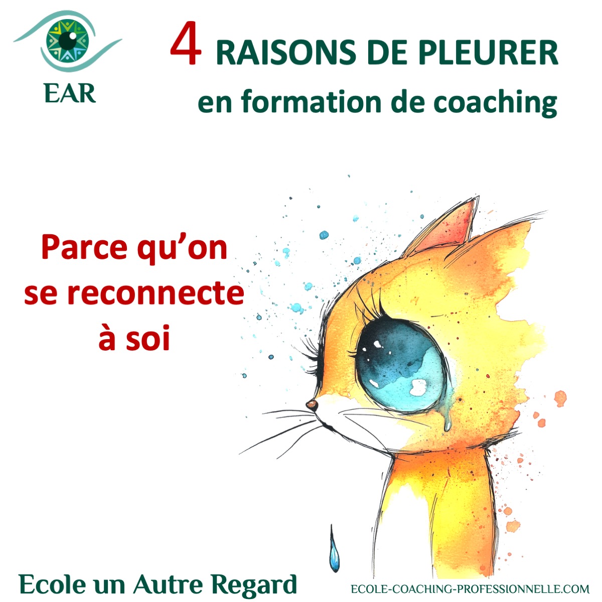 💧 4 raisons pour lesquelles on pleure en formation de coaching Et pourquoi c’est une très bonne nouvelle !