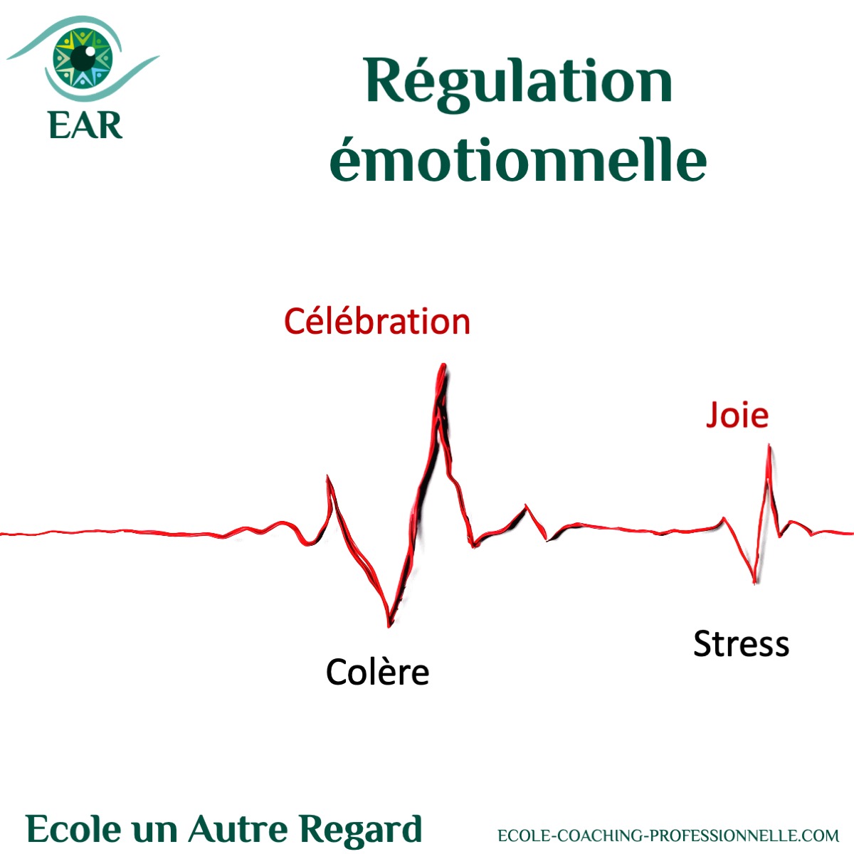L’auto-régulation émotionnelle c’est possible ?  EAR ecole de coaching intégratif C5 Paris 