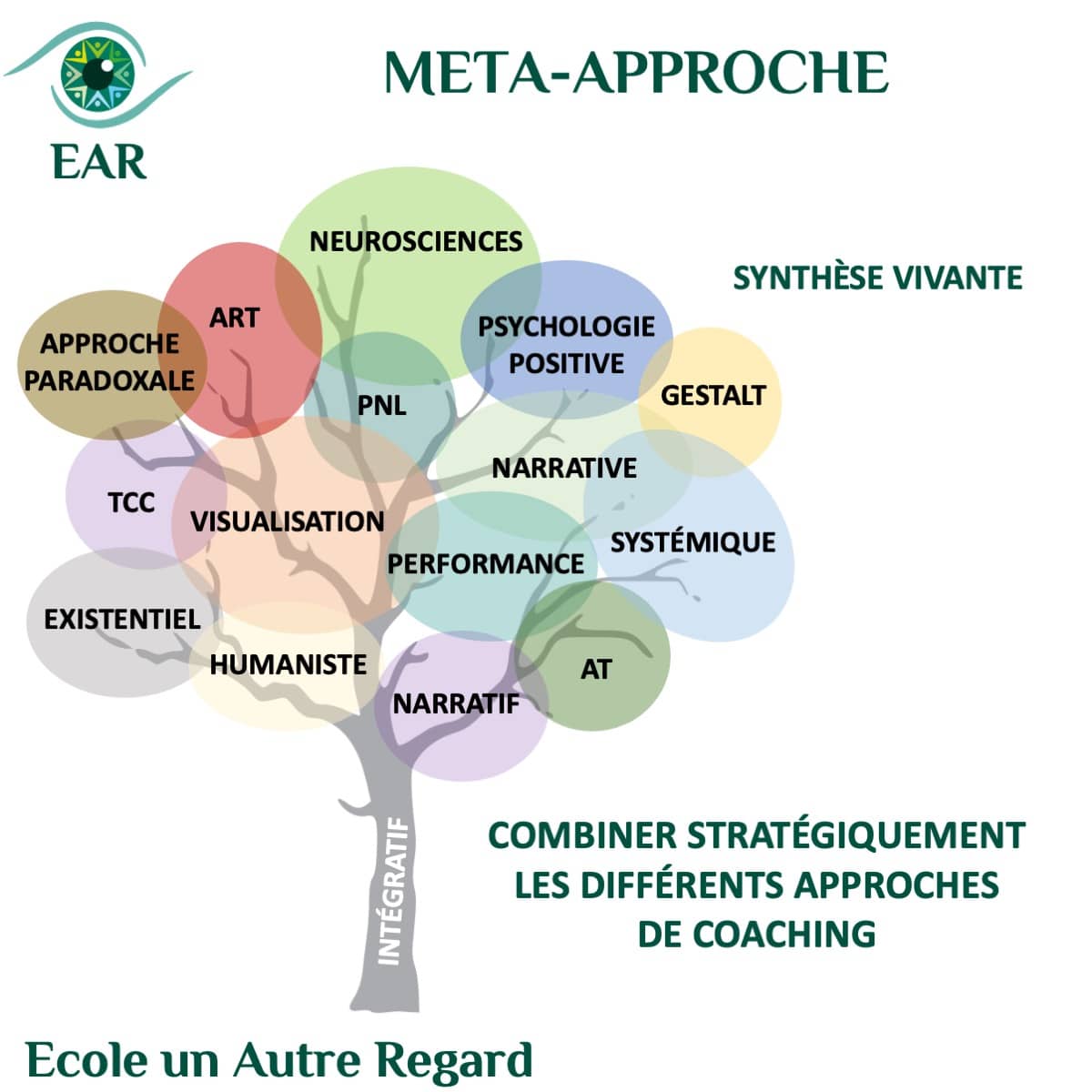 pedagogie intégrative EAR L’intelligence du corps est une des clés du coaching intégratif de l’École Un Autre Regard. Cette approche holistique est particulièrement adaptée aux Haut Potentiels (HPI, HPE…) en leur offrant un accompagnement qui respecte leur singularité. Les formations classiques proposent méthodes linéaires avec des protocoles qu’il faut appliquer. Ce genre d’approche a de grande chance vous sembler rigides. EAR se démarque par une pédagogie intégrative unique C5 (Corps – Cœur – Cerveau – Conscience – Créativité). Voici ce qui rend notre approche unique : 🔁 Une approche multi-niveaux 🌀 L’imaginaire et la métaphore au cœur de l’apprentissage 🧠 Un rythme pensé pour les cerveaux qui vont vite 🧭 La méta-analyse comme moteur d’intégration ❤️ Une place essentielle donnée à l’émotionnel et au sensible 🌟 Une posture d’accompagnement non normative 👣 Un parcours de transformation autant que de professionnalisation