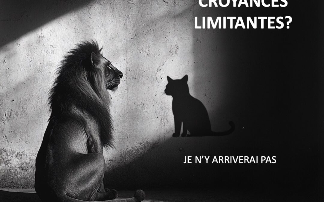voyage au cœur des croyances limitantes