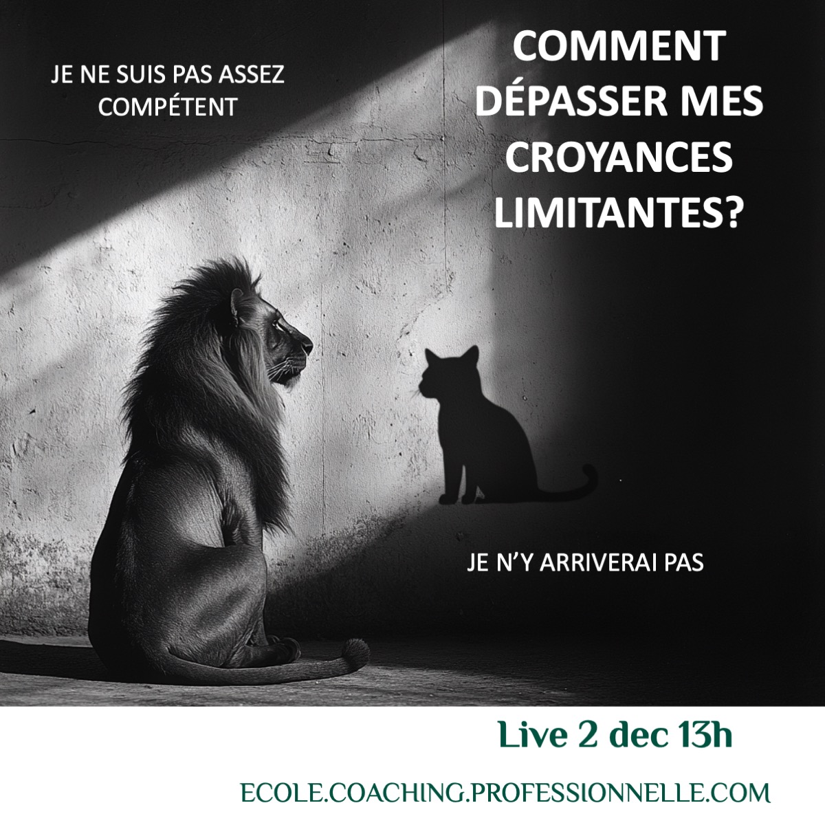 voyage au cœur des croyances limitantes