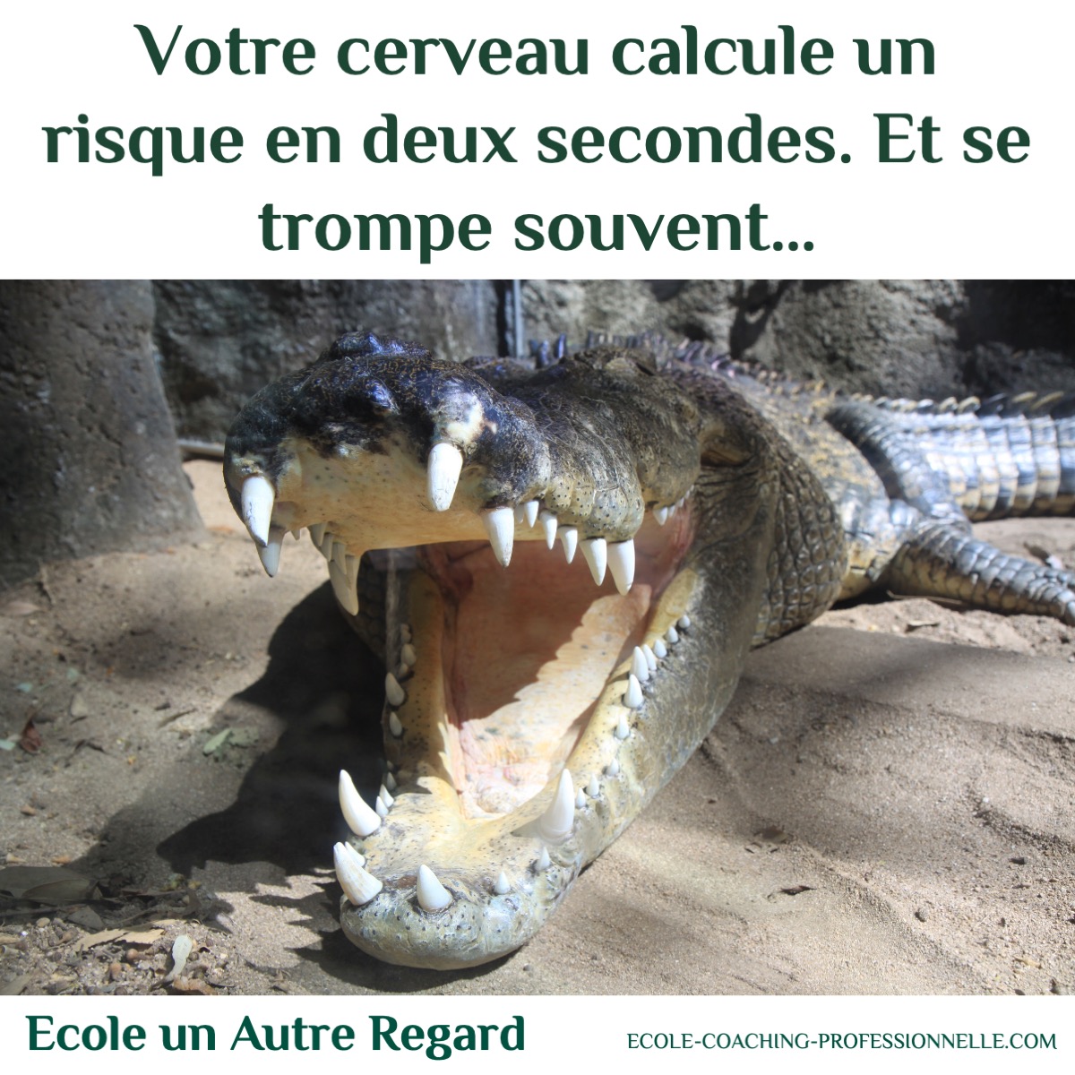 Évaluer un risque commence par poser les bonnes questions.