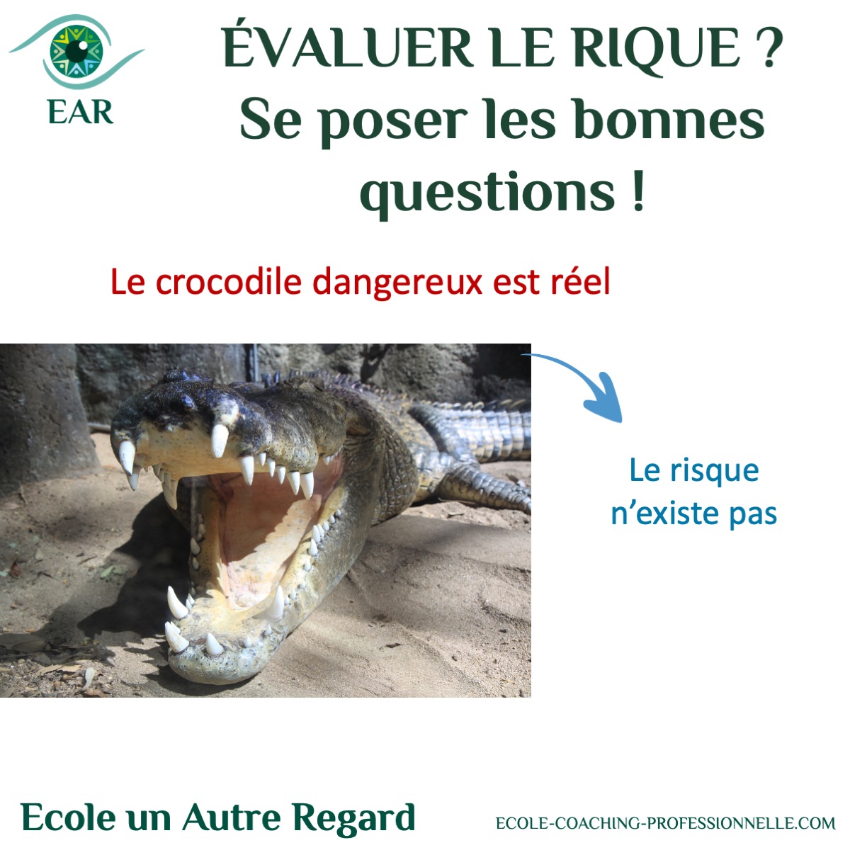 Évaluer un risque, ce n'est pas imaginer le pire scénario. C'est observer la réalité complète : la menace et les protections. Pourquoi je vois toujours le crocodile, et jamais la vitre ? EAR coaching intégratif 