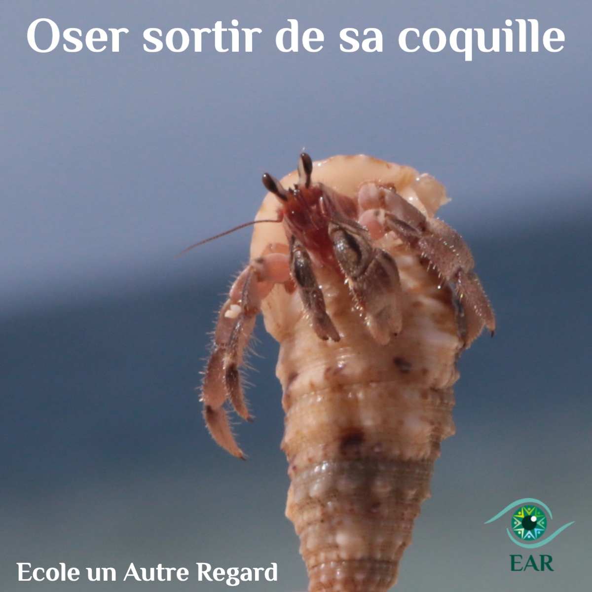 Où est-ce que je confonds sécurité et immobilité ?